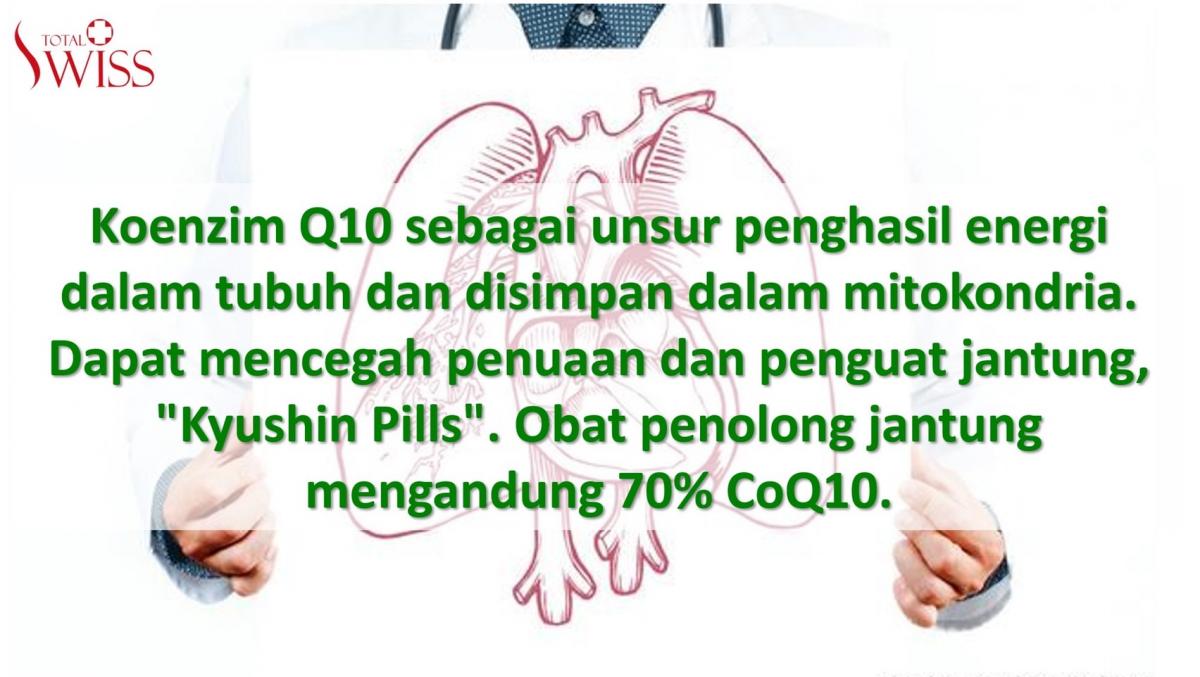 Fungsi Koenzim Q10-1