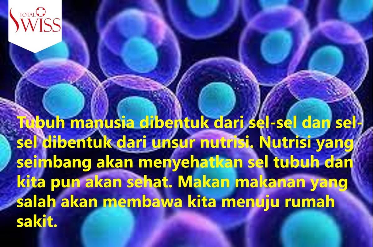 Tubuh Manusia Dibentuk Dari Sel dan Sel Dibentuk Dari Unsur Nutrisi-1