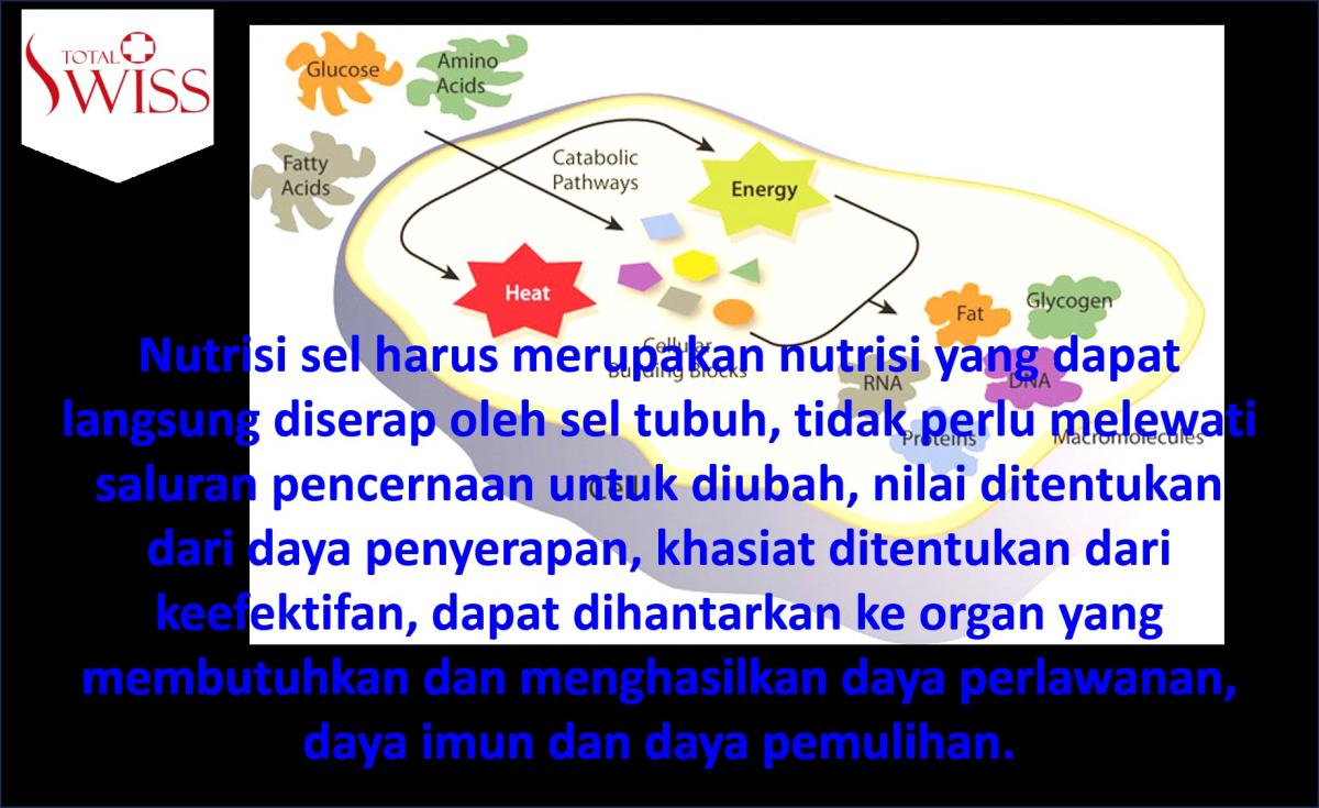 Nutrisi Sel Harus Merupakan Nutrisi Yang Dapat Langsung Diserap-1