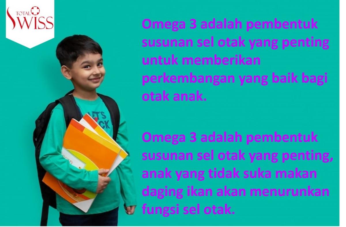Pentingnya Omega 3 Dalam Pembentukan Sel Otak -1